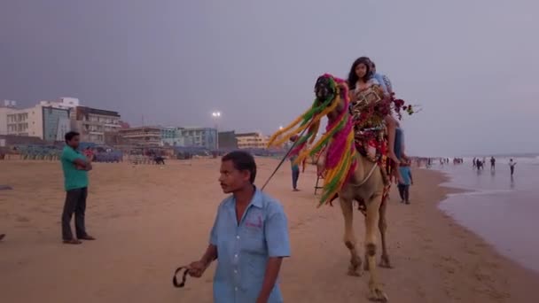 Puri Orissa India April 2019 Camel Rider Sea Beach Visitors — 비디오