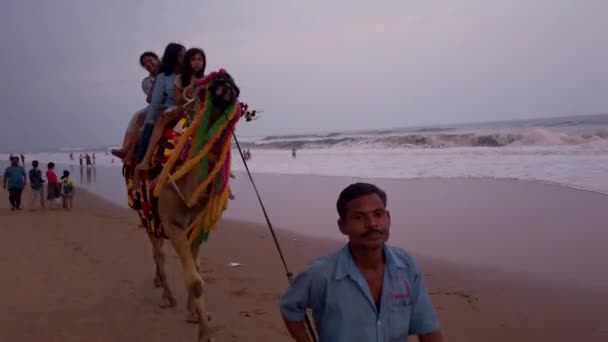 Puri Orissa India April 2019 Camel Rider Ocean Beach Tourists — Stock Video