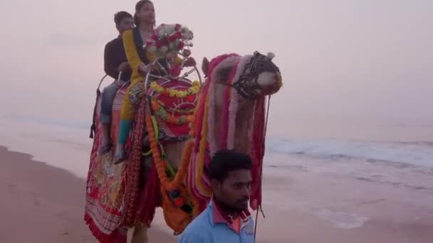 Puri Orissa Indien April 2019 Kamelreiter Strand Des Ozeans Antenne — Stockvideo