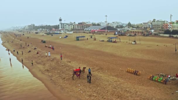 Puri Orissa India April 2019 Camel Rider Ocean Beach Aerial — Stock Video
