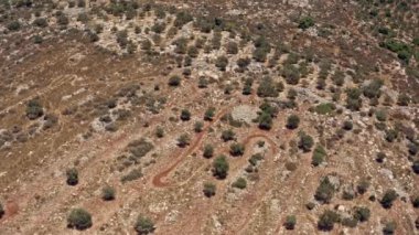Judea ve Samarya 'nın resimli manzaraları ve zeytin terasları İHA, hava manzarası, İsrail 4k