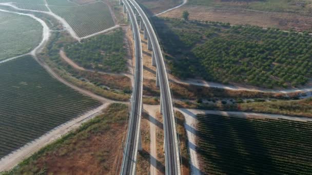 Pontes Trem Altas Nos Vales Judéia Israel Vista Aérea Drone — Vídeo de Stock