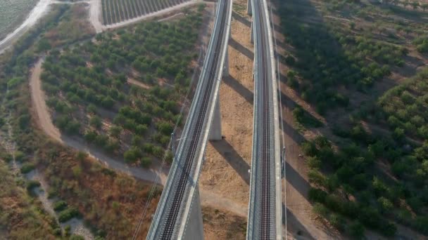 イスラエルのユダヤ谷にある高さの高い列車橋 空中ドローンビュー — ストック動画