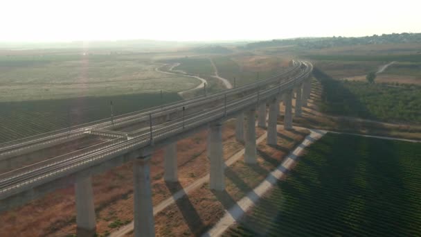 Magas Vasúti Hidak Júdea Völgyeiben Izrael Légi Drónra Néző — Stock videók