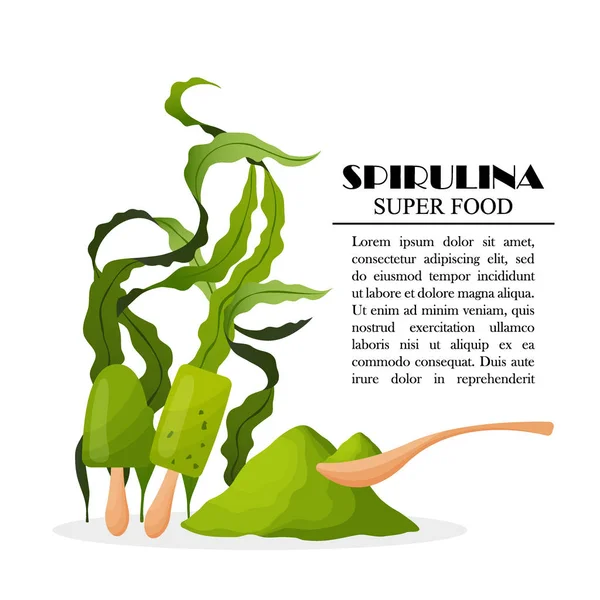 Cartel de espirulina con algas marinas en polvo algas heladas aisladas sobre fondo blanco, ilustración vectorial. Alimento saludable — Archivo Imágenes Vectoriales