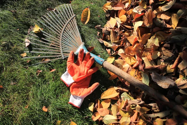 Ein Fächerharke Und Handschuhe Liegen Auf Dem Rasen Neben Einem — Stockfoto