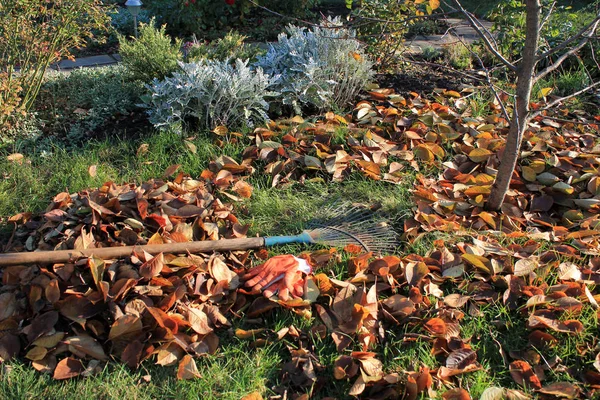 Sonbahar bahçe zemin üzerine düşen yapraklar yığını yanındaki bir fan komisyon ve eldiven vardır.