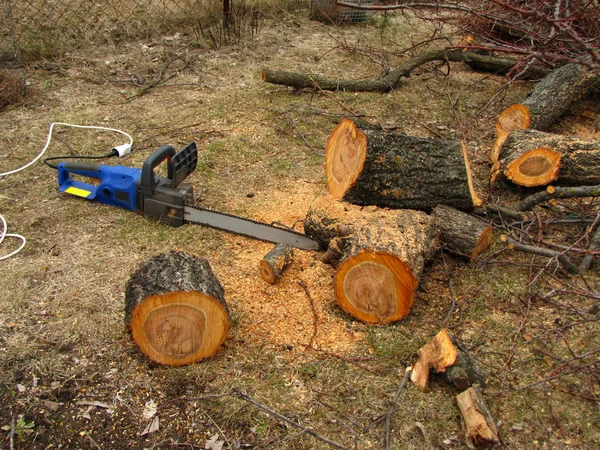 Electric saw is next to a sawn tree trunk and sawdust. — Stock Photo, Image