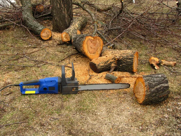 Електрична пилка знаходиться поруч з розпиляним стовбуром дерева і тирсою . — стокове фото