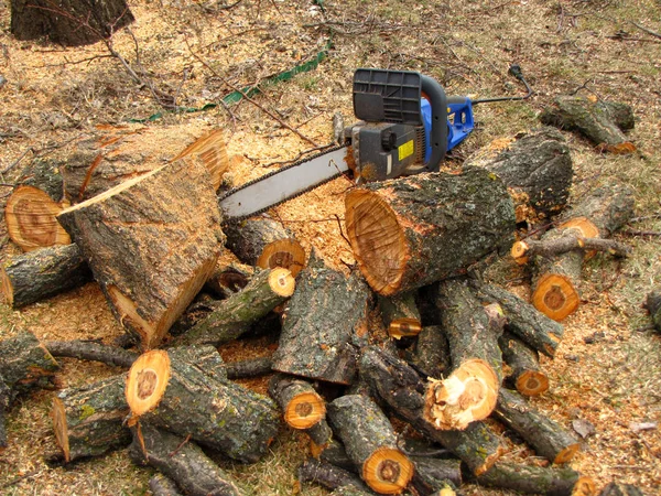 Electric saw is next to a pile of sawn tree trunk and sawdust.