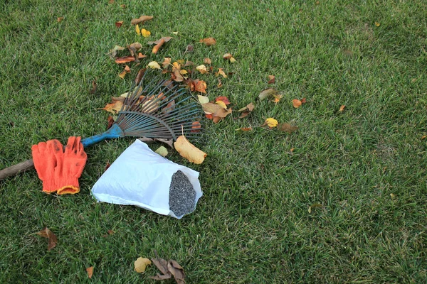 Осенняя листва, грабли, перчатки и упаковка удобрений на — стоковое фото