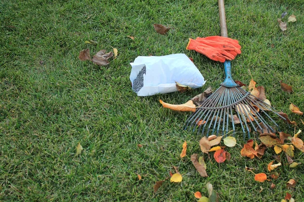 Herbstliches Laub, Fächerharke, Handschuhe und eine Packung Dünger liegen bereit lizenzfreie Stockfotos