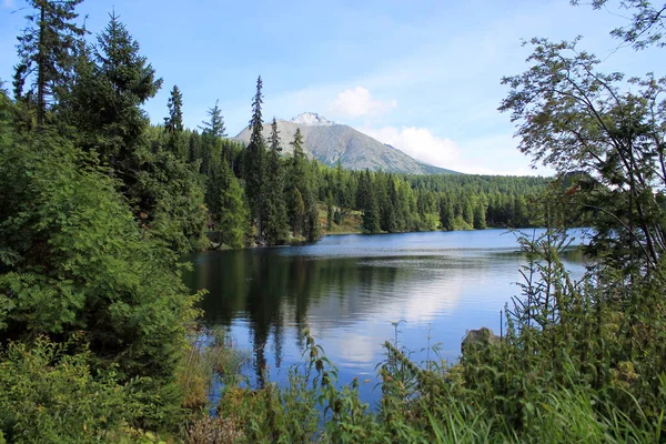 Slovakya 'daki High Tatras' ta dağ, göl ve orman manzaralı güzel bir manzara..