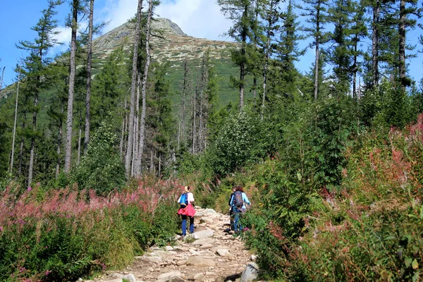 Hikers with backpacks climb a rocky trail up to the top of the mountain in High Tatras.