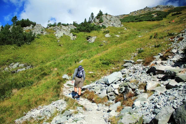 Hiker with backpack climbs a rocky trail up to the top of the mountain in High Tatras.