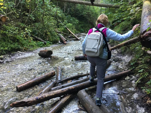 Sırt çantalı kadın yürüyüşçü Slovak Cennet Parkı 'ndaki devrilmiş ağaç gövdeleri boyunca nehir yatağı boyunca yürüyor..