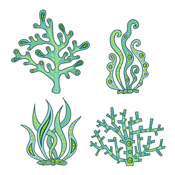 Set Vector Zeewier Koraal Vectorillustratie Doodle Handgetekende Alga — Stockvector