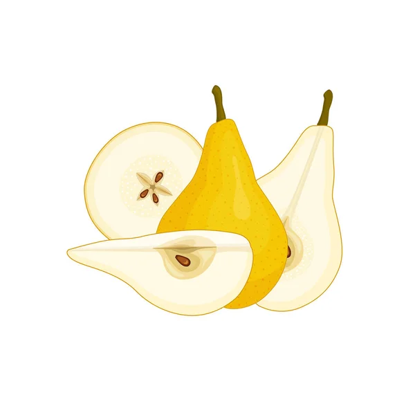 Vector Still Life Pear Composition Whole Half Chopped Pear Fruit — Stock Vector