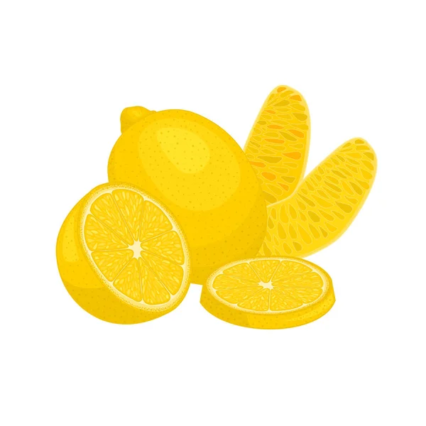 Склад Цілого Половини Скибочки Лимона Векторні Ілюстрації Натюрморт — стоковий вектор
