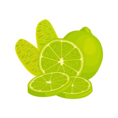 Kireç ile natürmort. Vektör çizim. Kompozisyon bir bütün ve limon meyve dilimleri.