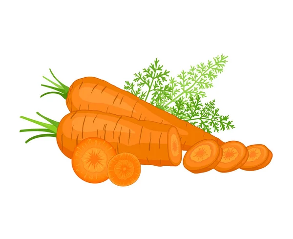 Ainda vida com uma cenoura. Ilustração vetorial . —  Vetores de Stock