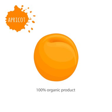 Tüm vektör kayısı beyaz bir arka plan üzerinde bir yazıt ile.