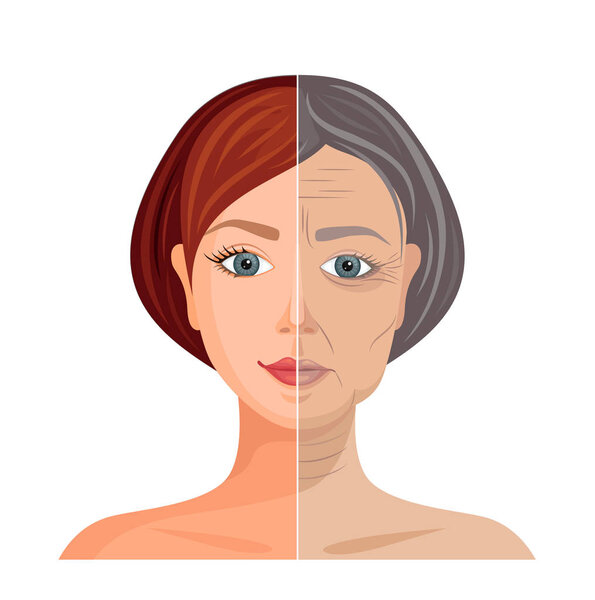 Illustration of an aging face. The process of withering skin. Vector.