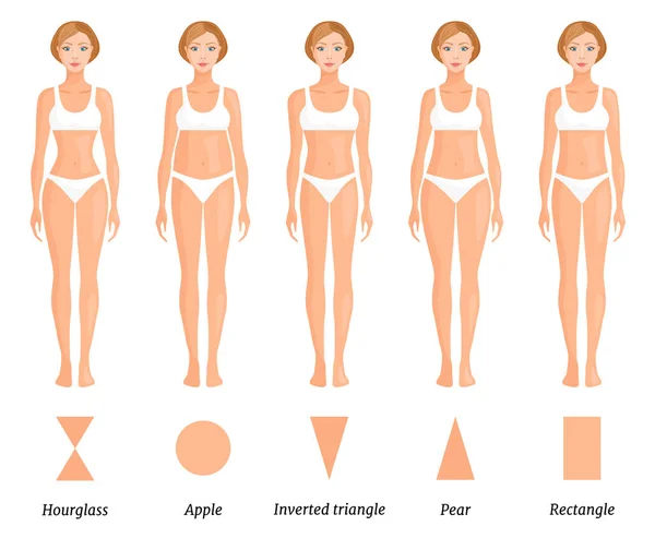 Formes de type de corps féminin. Différentes figures de femmes. Vecteur . — Image vectorielle