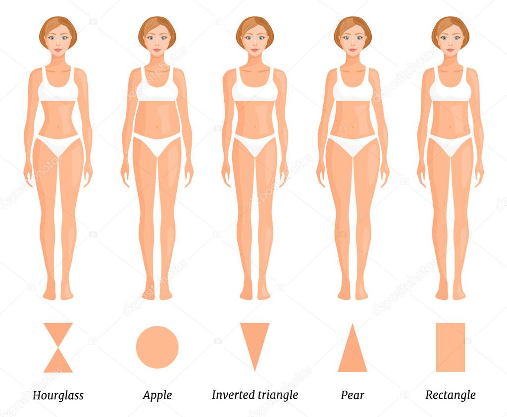 Forms of female body type. Various figures of women. Vector.