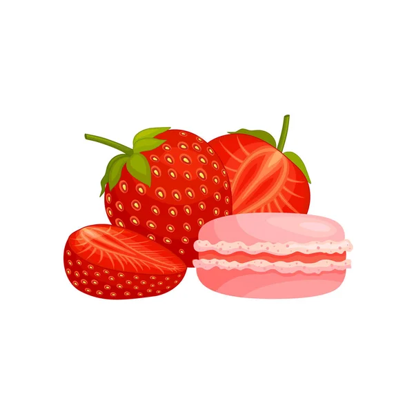 Macaroon és eper csendélet. Vektoros illusztráció. — Stock Vector