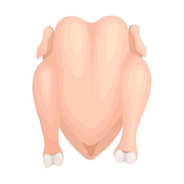 Kyckling kadaver redo för matlagning. Vektor illustration. — Stock vektor