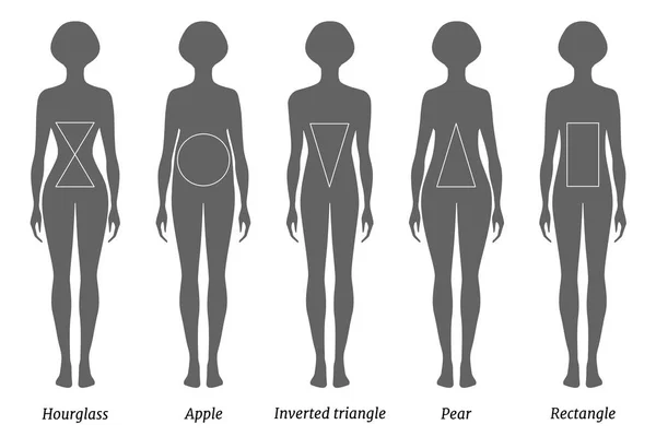 Types de figures féminines. Silhouettes vectorielles avec inscriptions . — Image vectorielle