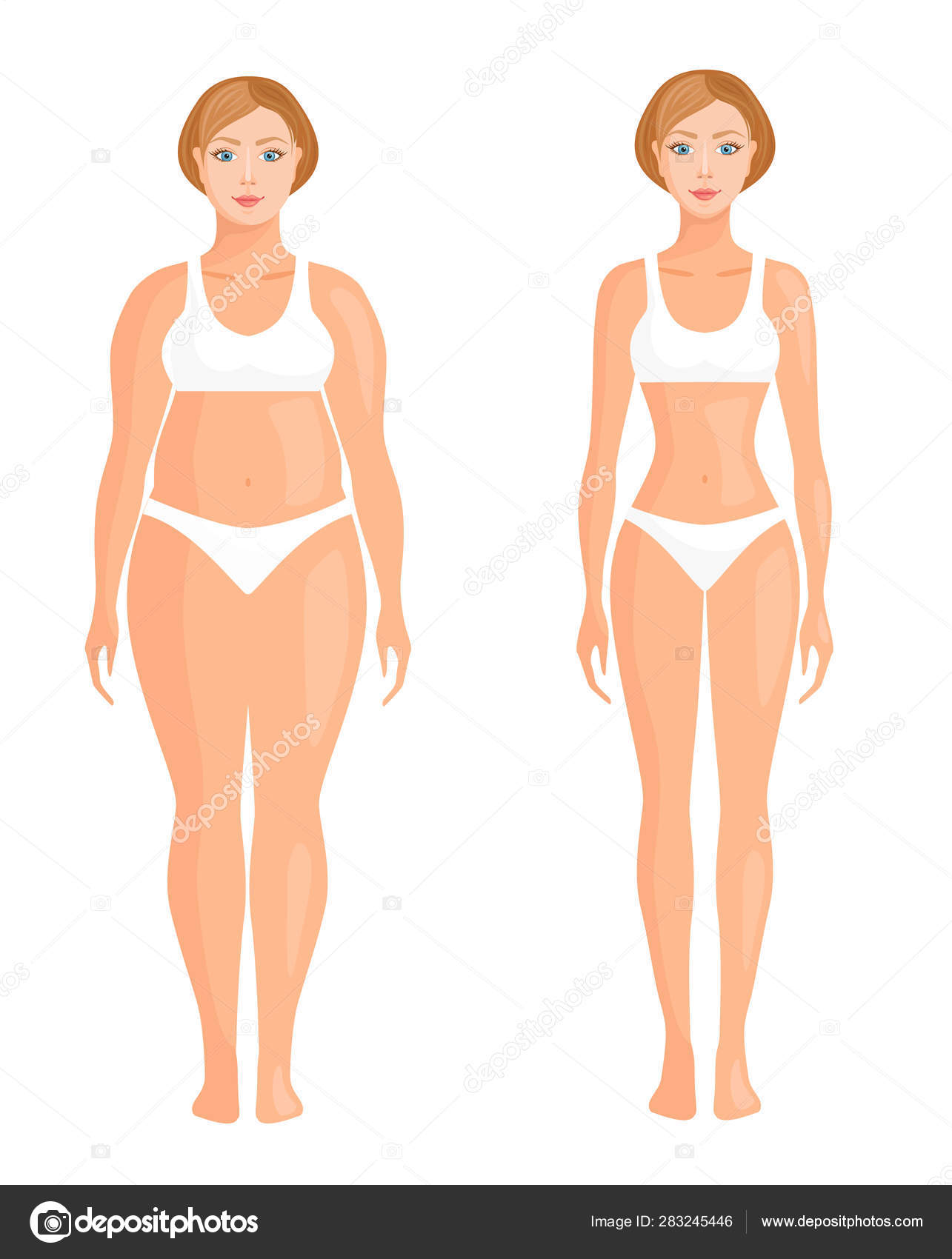 Comparison of fat and thin women. The result of losing weight. Vector.  Stock Vector by ©kurmanstock.gmail.com 283245446
