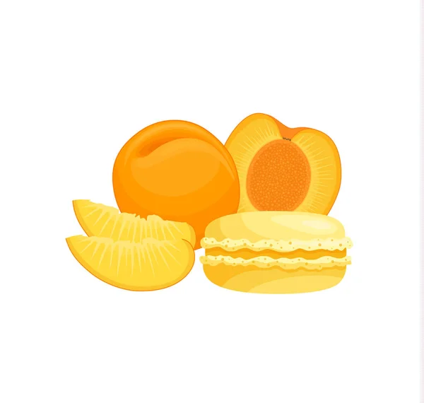 Banner vectorial con albaricoque y macarrón. Galleta de almendras . — Vector de stock