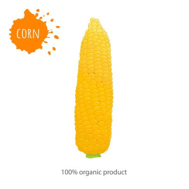 Bütün mısırlı afiş. Karikatür tarzında reklam kompozisyonu. Vektör.