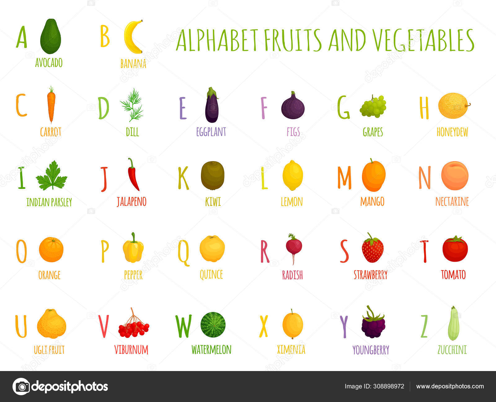 Vector alphabet with fruits and vegetables. Letters for children. To study  the letters and names of different foods. Stock Vector Image by  © #308898972