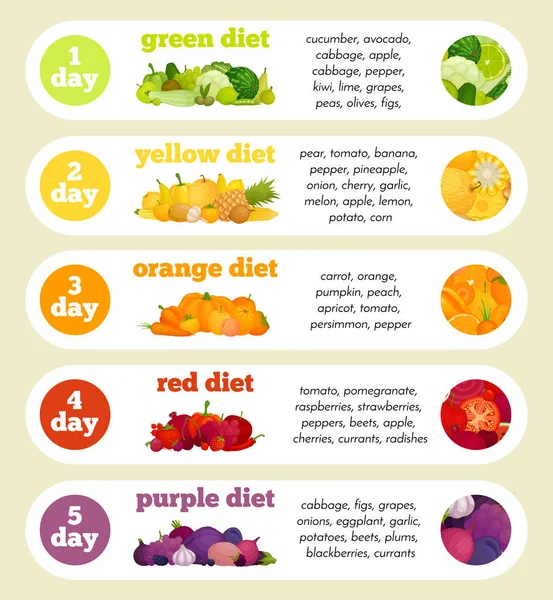 Color diet food by day. Vegetarian menu. Vector infographics. — ストックベクタ