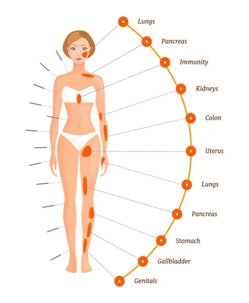 Akupunktúra. Az emberi test aktív pontjai és területei. Vektor. — Stock Vector