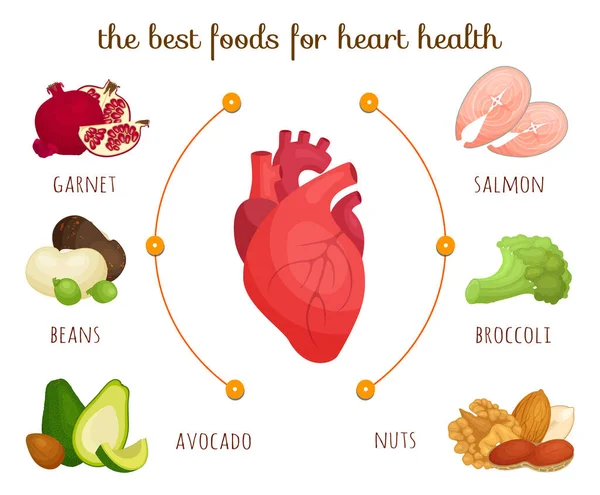 Προϊόντα από την καρδιά. Εικονογράφηση διανύσματος. Δίαιτα για υγιή καρδιά. — Διανυσματικό Αρχείο