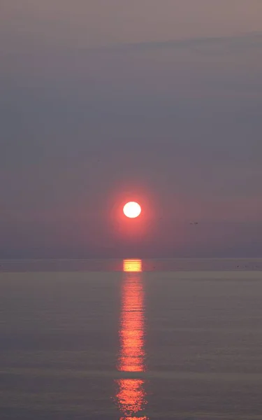 Güneş batarken deniz kenarında güzel bir gün batımı. Kırmızı günbatımının dikey fotoğrafçılığı.