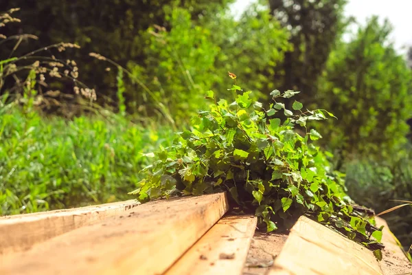 Miotła brzozowa leżącego na brązowy drewniany ganek — Zdjęcie stockowe