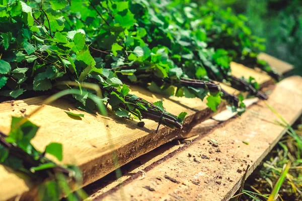 Miotła brzozowa leżącego na brązowy drewniany ganek — Zdjęcie stockowe