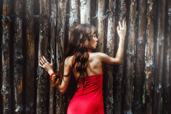 Girl in a dress at a wooden fence — Stock Photo, Image