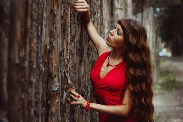 Ragazza in un vestito a una recinzione di legno — Foto Stock