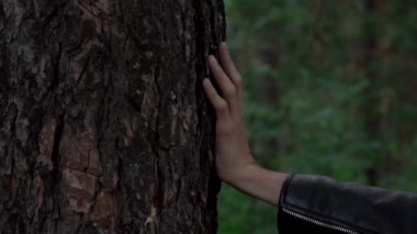 Ağaç üzerinde el
