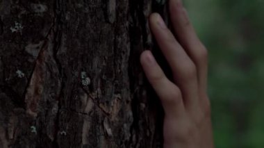 Ağaç üzerinde el