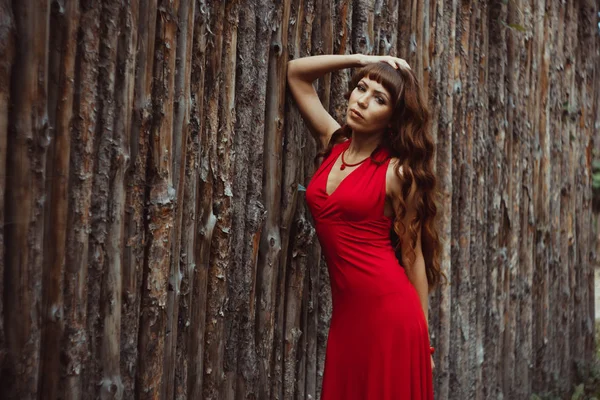 Meisje in een jurk op een houten hek — Stockfoto