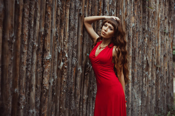 Beautiful young woman in red dress leaning on wooden fence