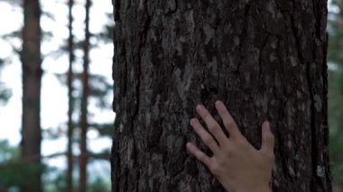 Ağaç üzerinde el