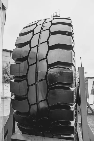 展示会で新しい貨物タイヤ — ストック写真